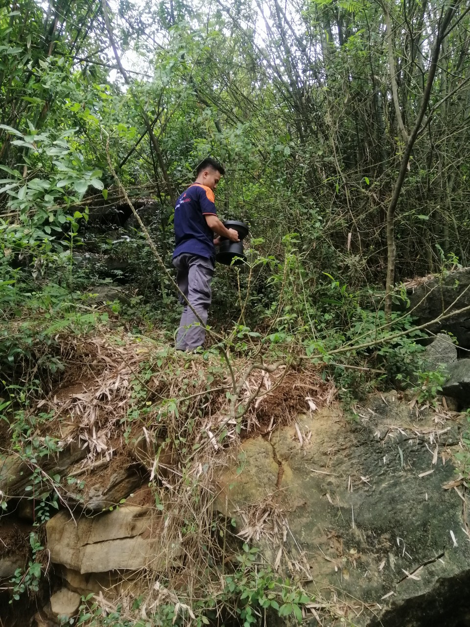 âm thanh thông báo