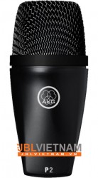 Micro AKG P 2