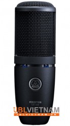 Micro AKG PERCEPTION 120 USB