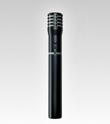 Micro không dây dành cho nhạc cụ Shure PG81-XLR